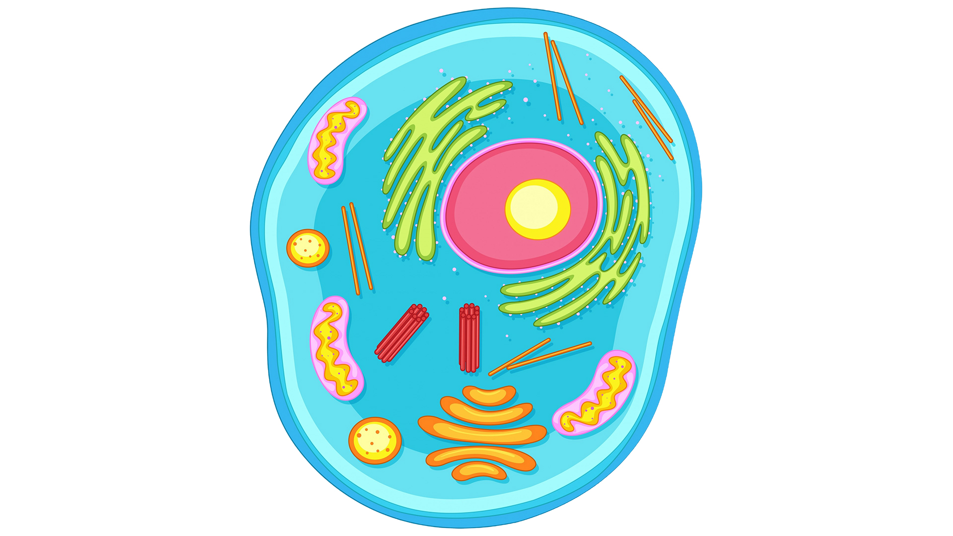 نکات کنکوری زیست دهم فصل اول, نکات کنکوری پروانه مونارک, پروانه مونارک زیست دهم