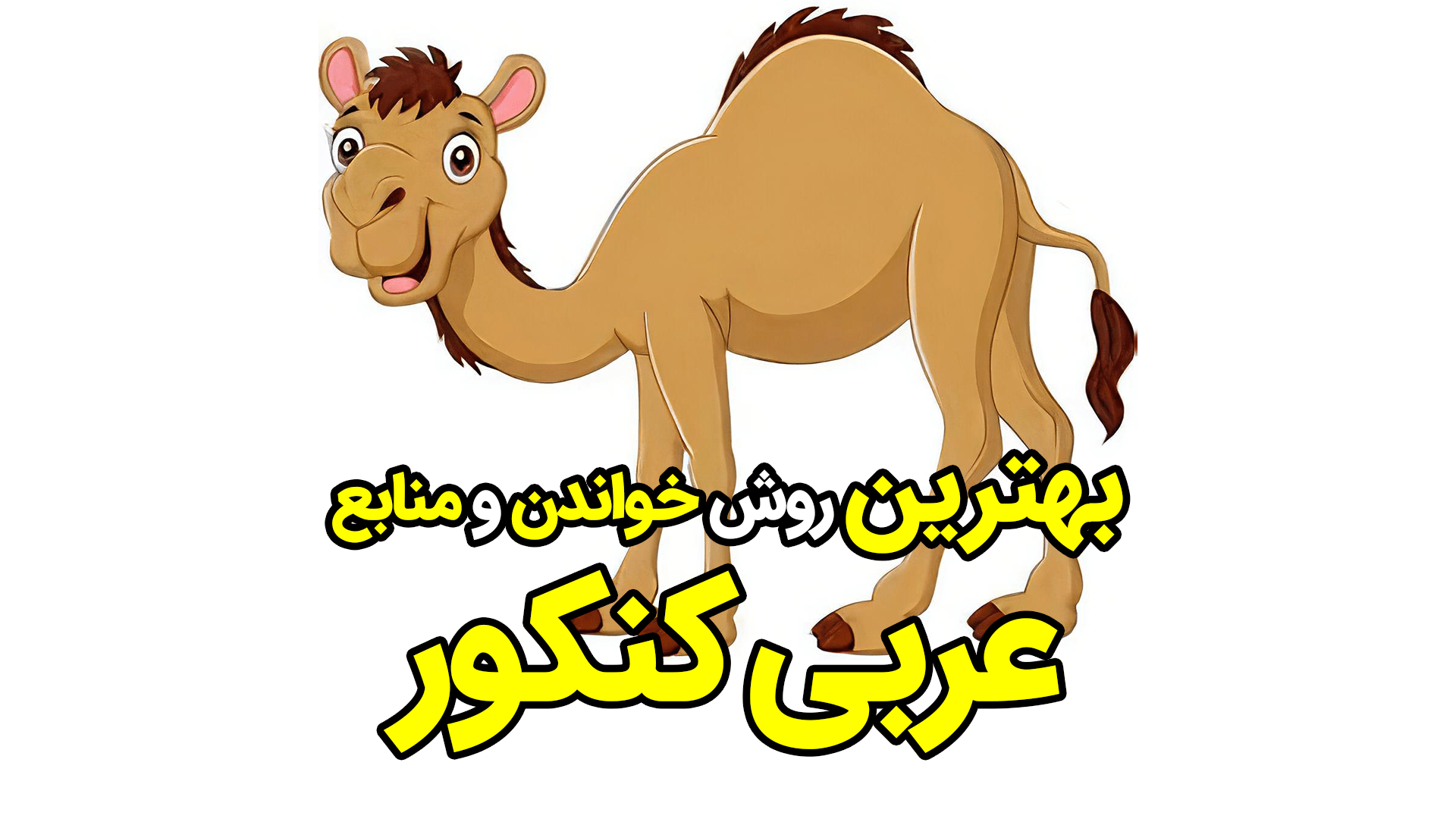 شتر قهوه ای, بهترین روش خواندن و منابع عربی کنکور