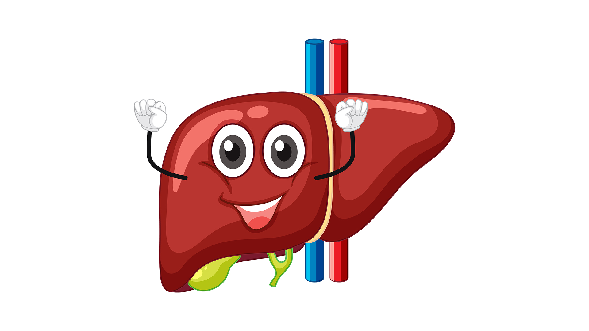 سیاهرگ باب کبدی, کبد زیست دهم, سیاهرگ باب زیست دهم