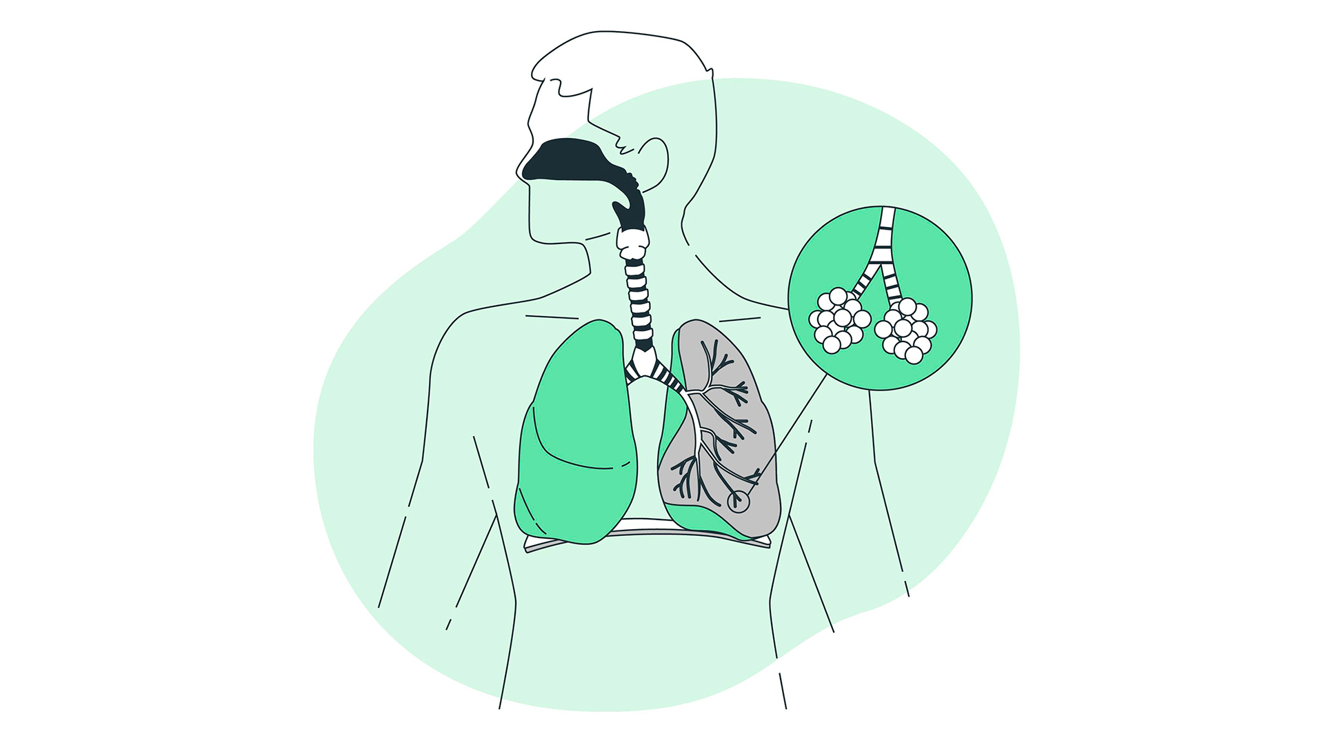 نکات کنکوری فصل سوم زیست دهم, فصل 3 زیست دهم