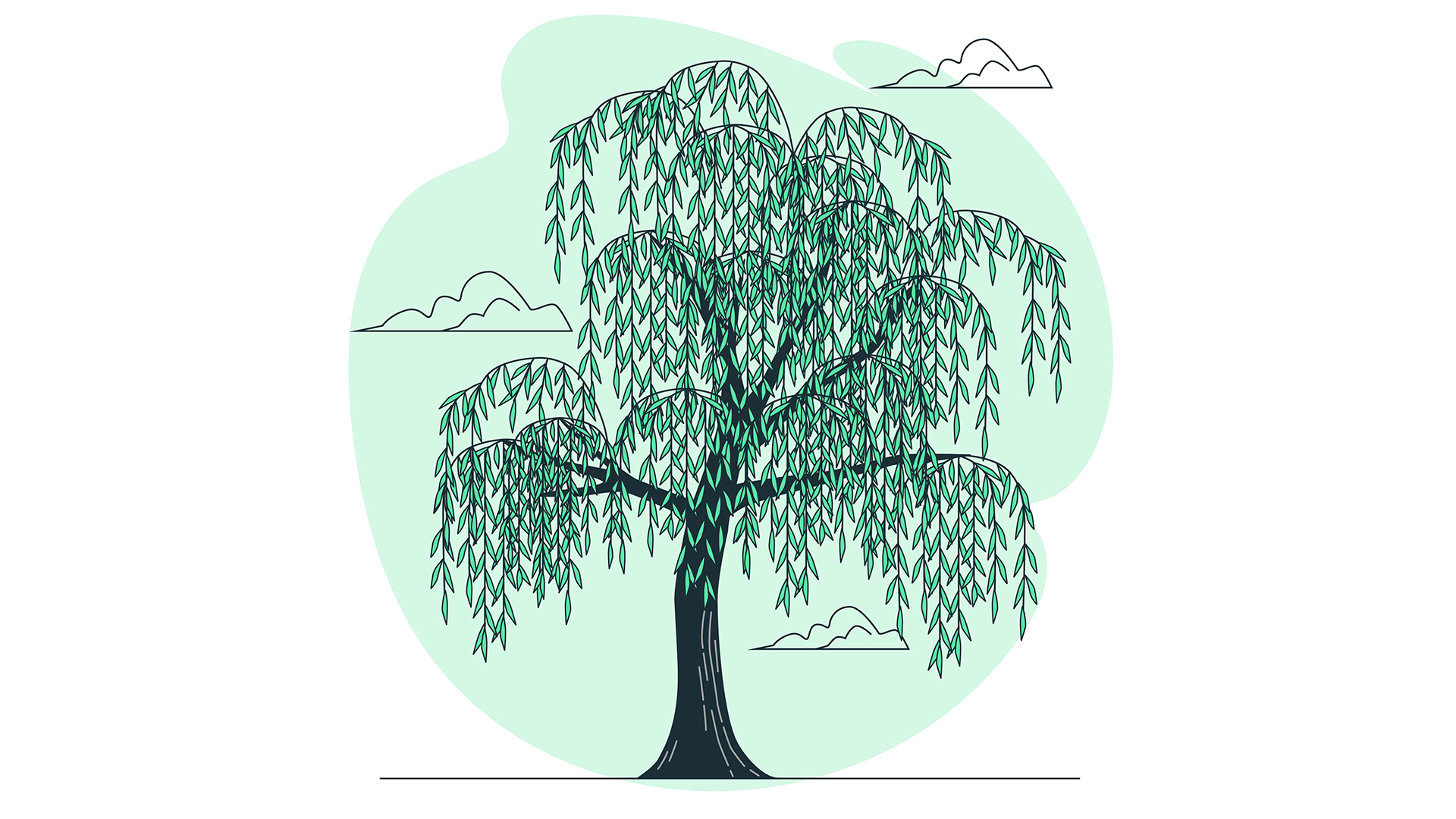 نکات کنکوری فصل 6 زیست دهم, فصل 6 زیست دهم, فصل ششم زیست دهم