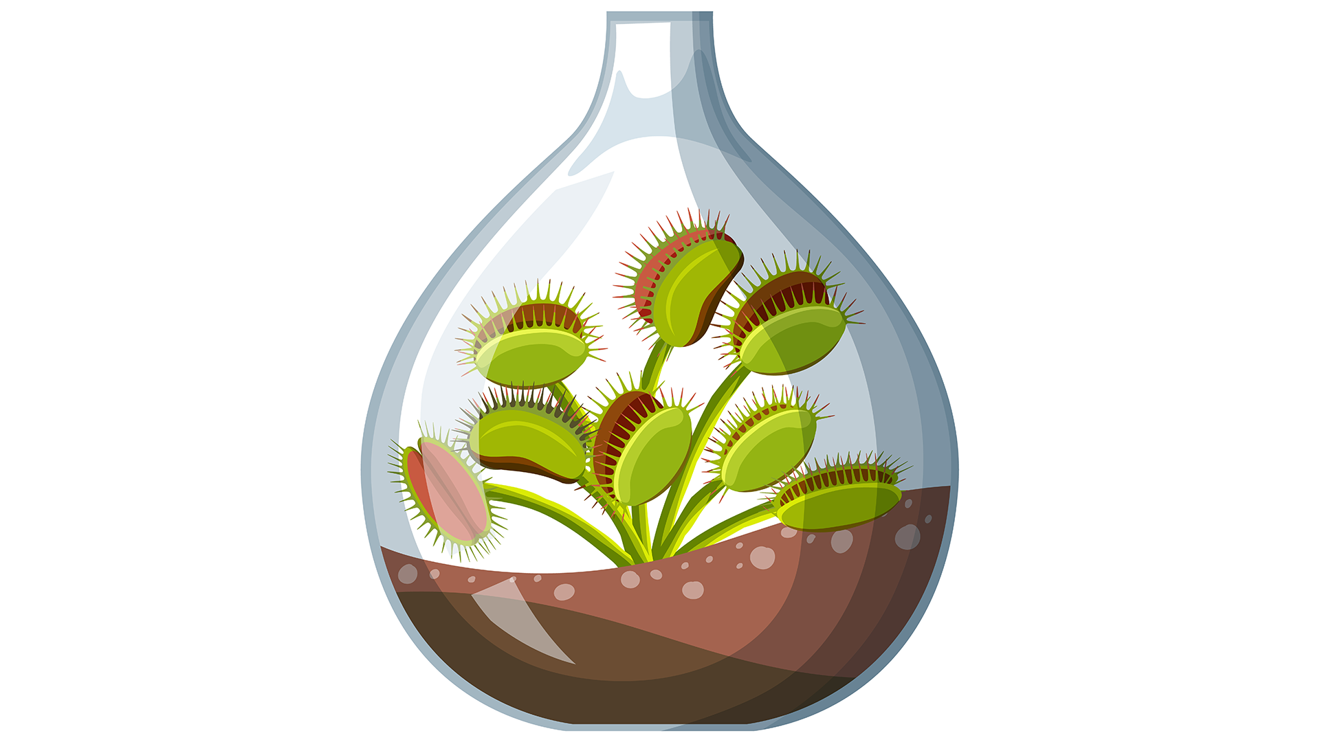 نکات فصل 7 زیست دهم, فصل 7 زیست دهم, فصل هفت زیست دهم