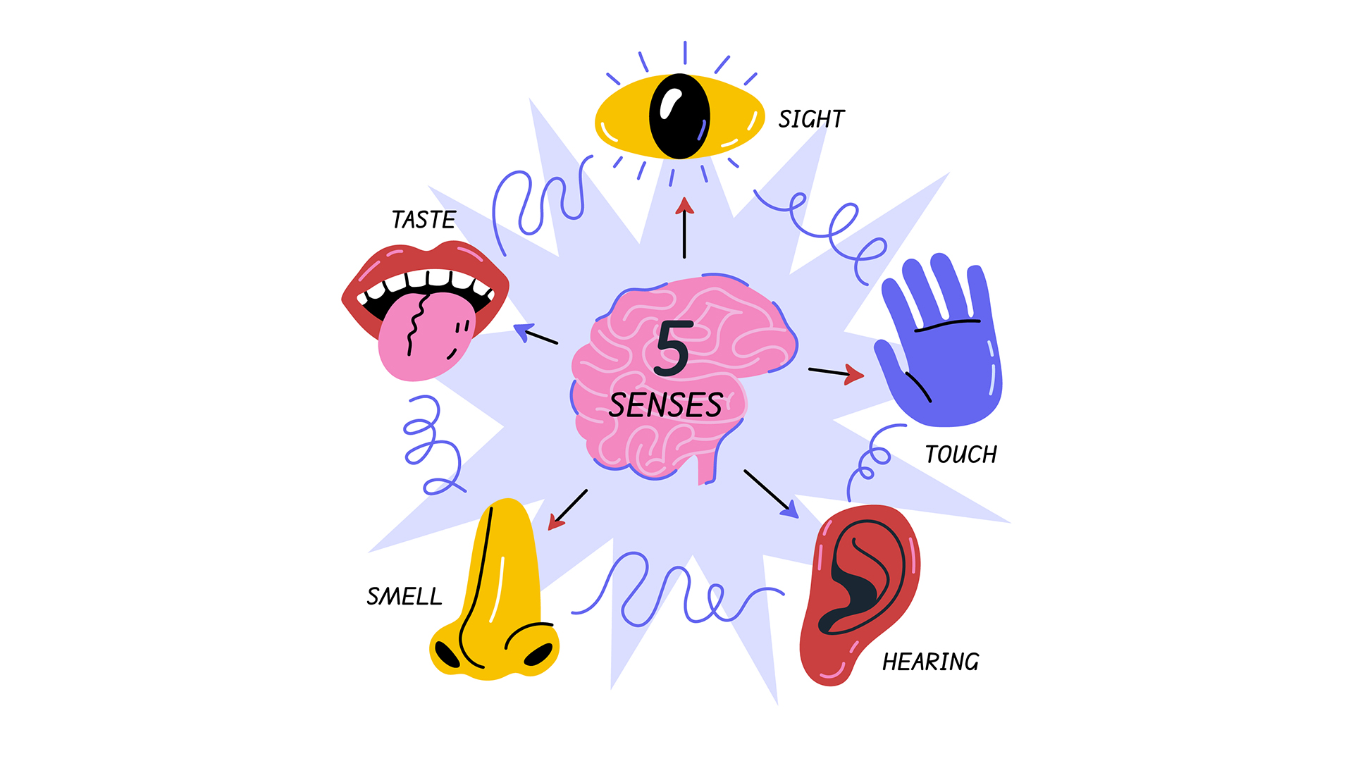 نکات کنکوری فصل 2 زیست یازدهم, فصل 2 زیست یازدهم, فصل دوم زیست یازدهم