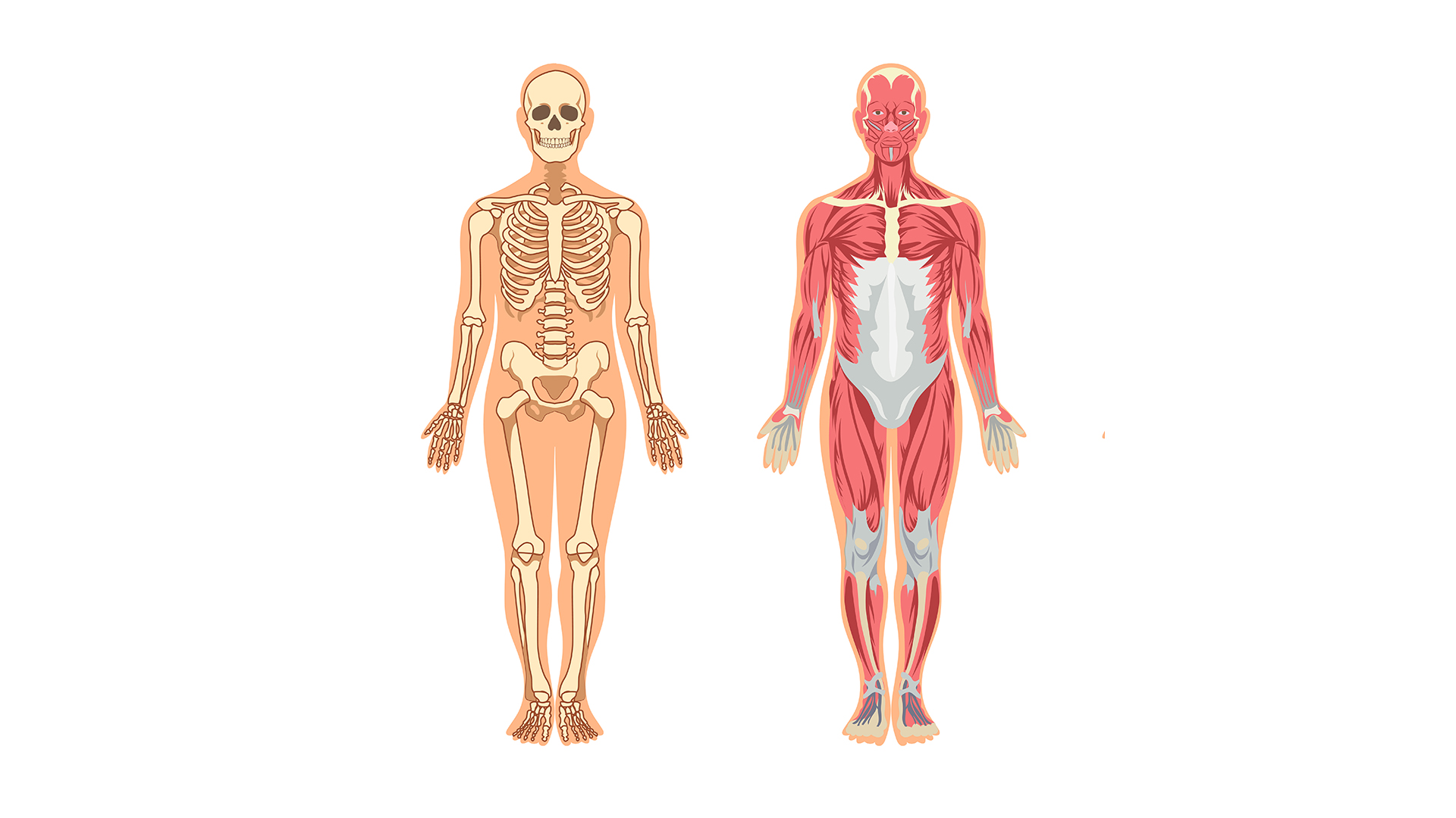 نکات کنکوری فصل سوم زیست یازدهم, فصل 3 زیست یازدهم, فصل سوم زیست یازدهم