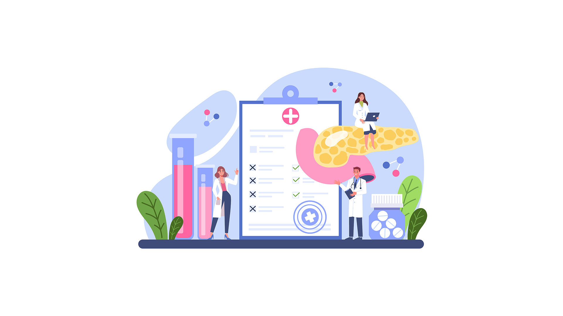 نکات کنکوری فصل 4 زیست یازدهم, فصل 4 زیست یازدهم, فصل چهارم زیست یازدهم