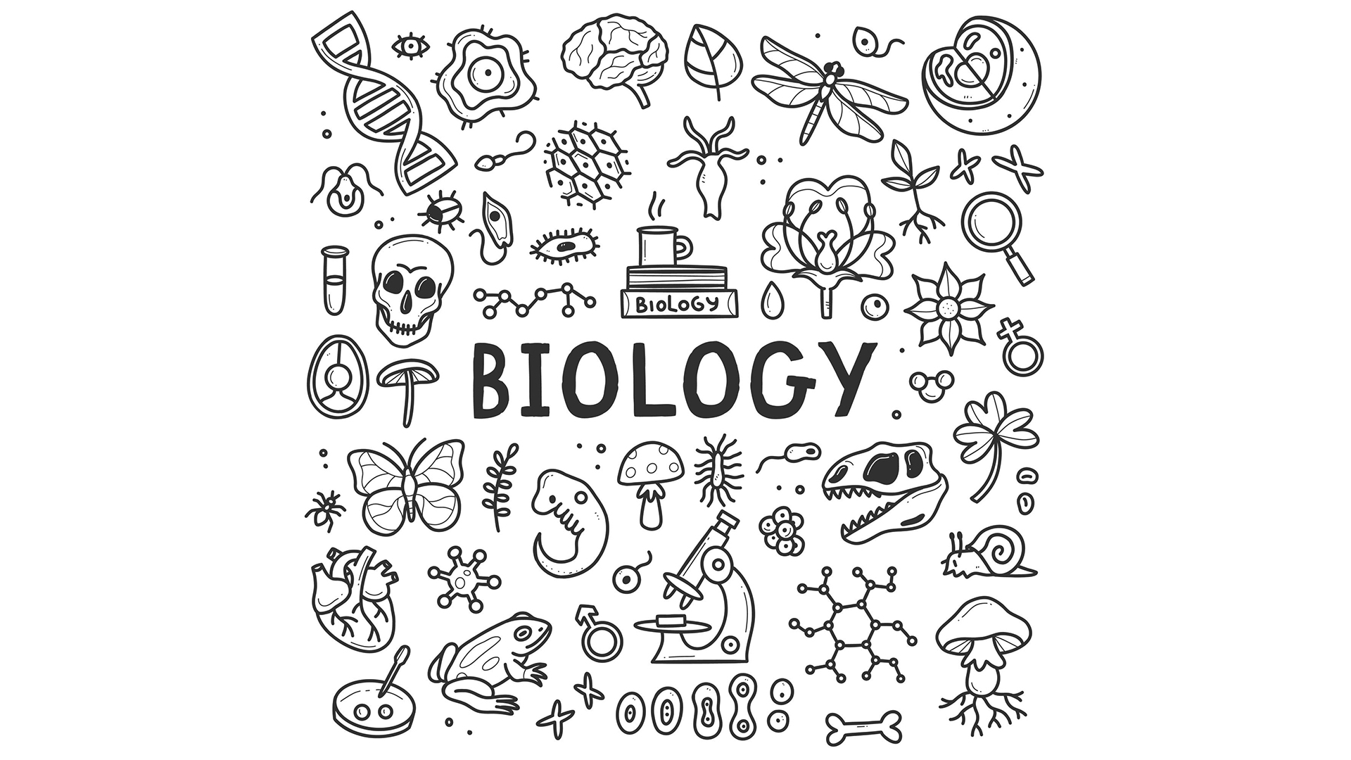 نکات شکل های زیست دهم، یازدهم و دوازدهم,پی دی اف شکل های زیست دهم، یازدهم و دوازدهم,تمام شکل های زیست کنکور,جمع بندی شکل های زیست دهم، یازدهم و دوازدهم