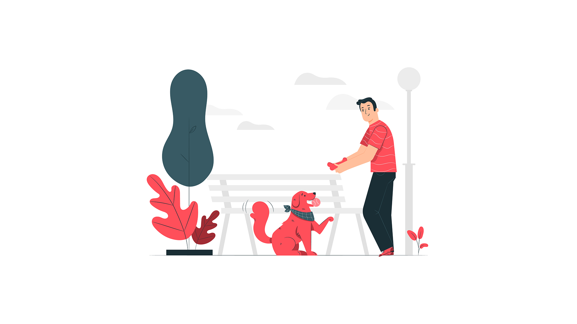 نکات کنکوری فصل 8 زیست دوازدهم, فصل 8 زیست دوازدهم, فصل هشتم زیست دوازدهم