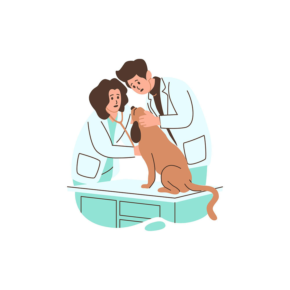 رشته دامپزشکی