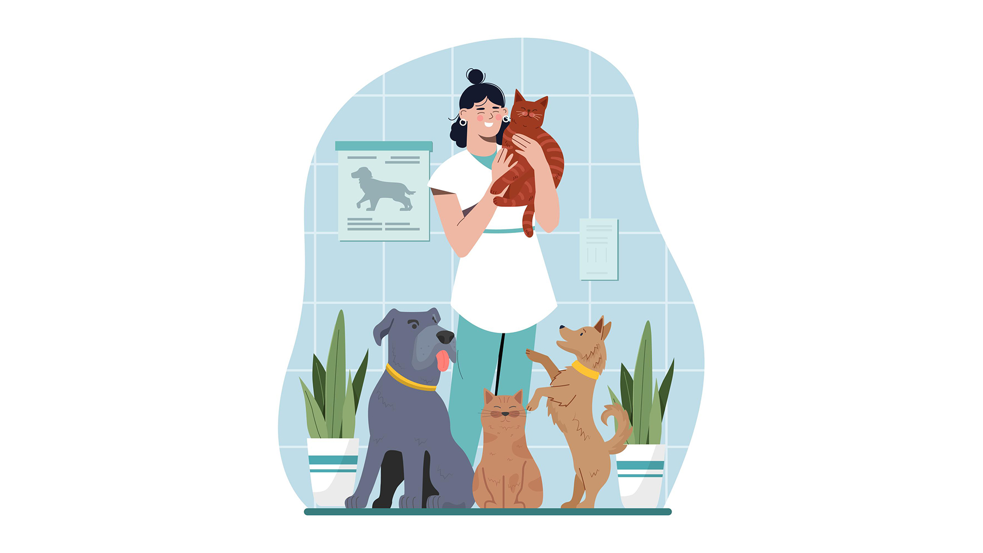 معرفی رشته دامپزشکی از زبان دانشجویان,درامد رشته دامپزشکی برای دختر,رشته دامپزشکی بدون کنکور